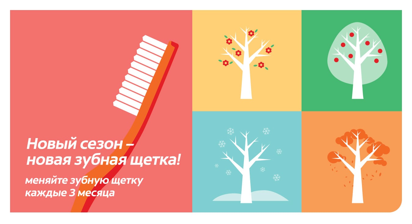Новый сезон - новая зубная щетка! Новый сезон - новая зубная щетка!