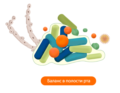 Заболевания полости рта – результат сниженной иммунной системы Заболевания полости рта – результат сниженной иммунной системы