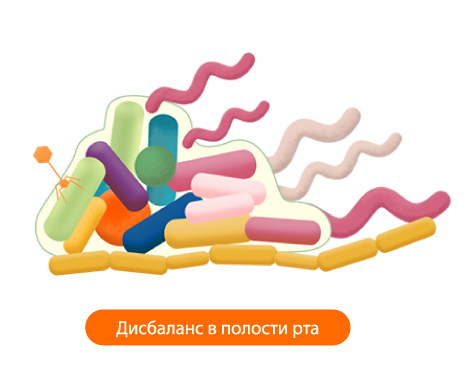 Заболевания полости рта – результат сниженной иммунной системы Заболевания полости рта – результат сниженной иммунной системы