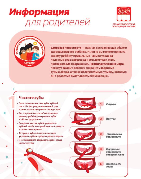 Информация для родителей, как дети должны чистить зубы